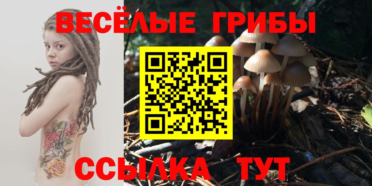 Галлюциногенные грибы прущие грибы  Галлюциногенные грибы мицелий  Учалы 